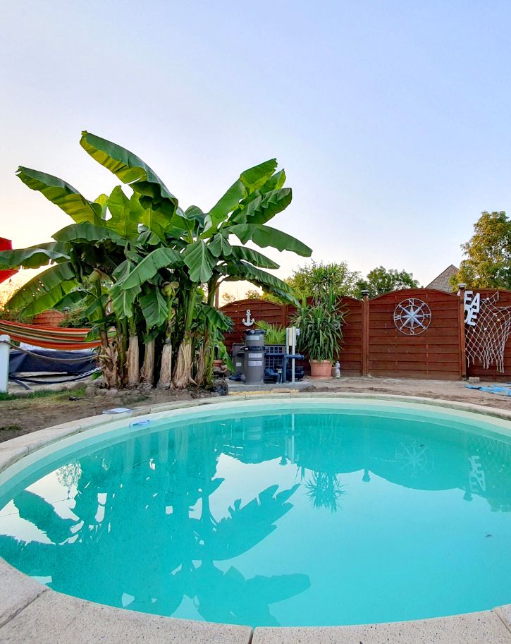 Runder Pool mit Palmen im Garten